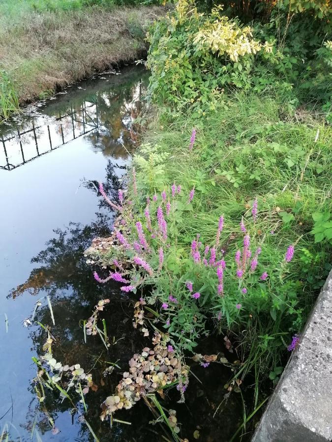 Bleichehof * Burg (Spreewald)